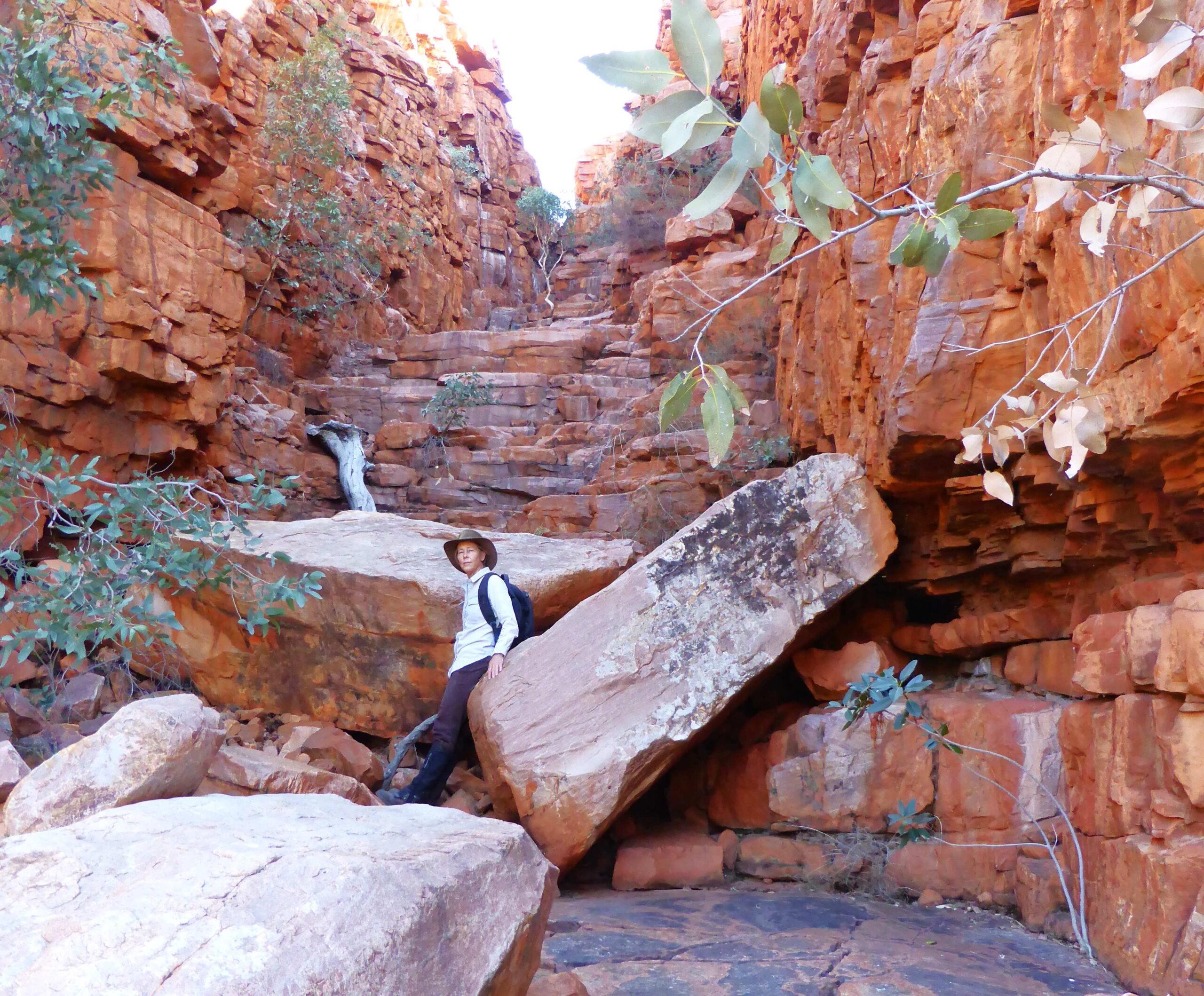 Marie at the site of a Black-footed rock wallaby scat tracking survey